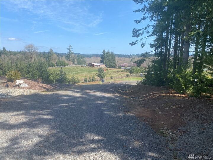 Property Photo: 115 Ellenita Lane WA 98532