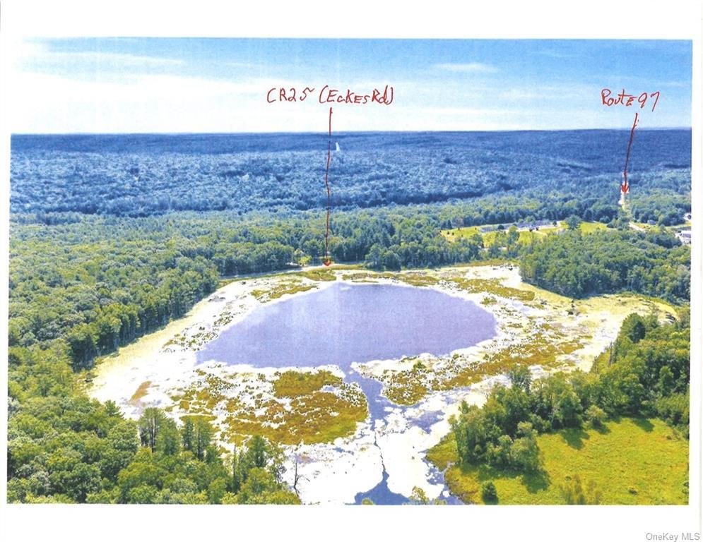 Nys Route 97 Route  Narrowsburg NY 12764 photo