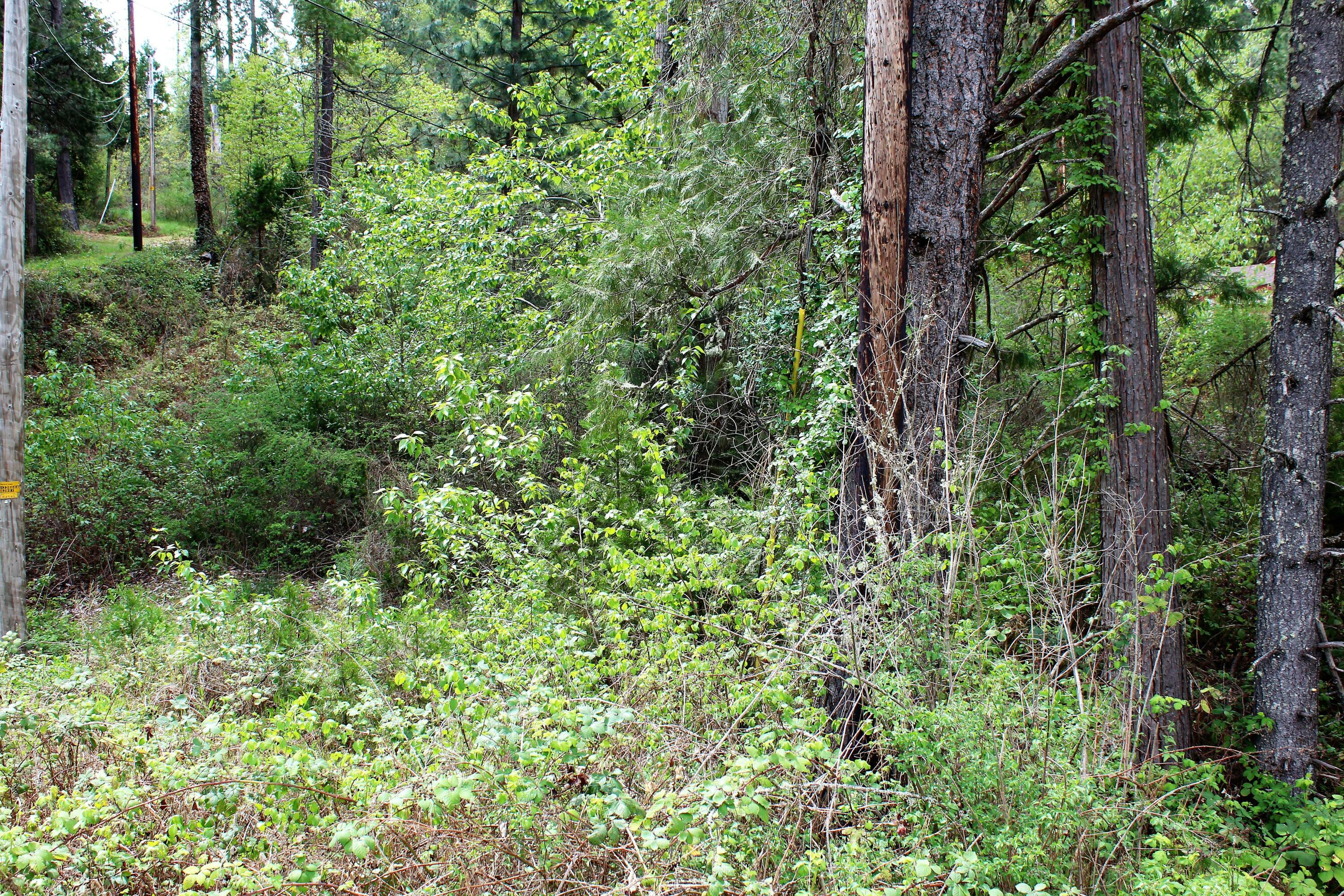 Property Photo:  0 Rogue River Hwy  OR 97527 