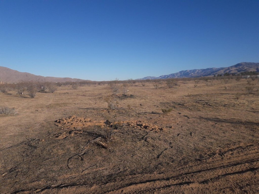 Property Photo: 0 Las Piedras Road CA 92308