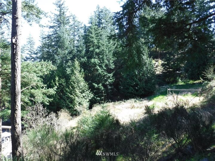 1236 Jamison Street  Lummi Island WA 98262 photo