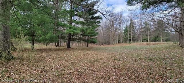 Property Photo:  Parcel 5 Genny Ridge Drive  MI 48446 