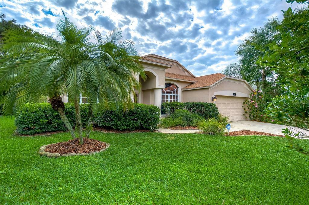 Property Photo:  19011 Weatherstone Drive  FL 33647 