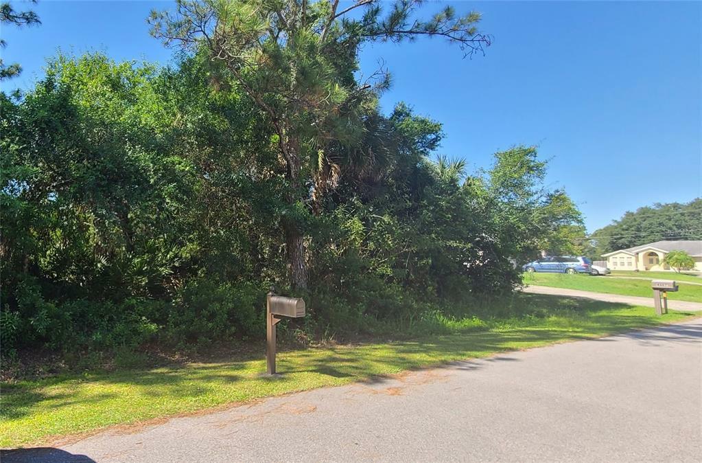 Property Photo:  Sunburst Avenue  FL 34286 