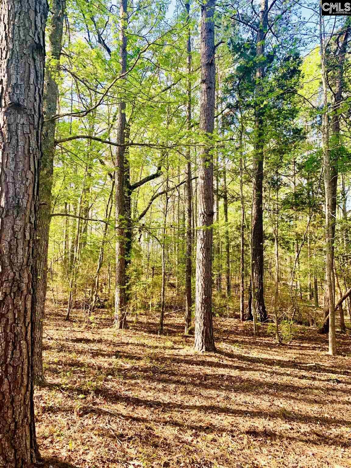 Property Photo: 2466 &Amp 2458 Chapin 7 & 6 SC 29036