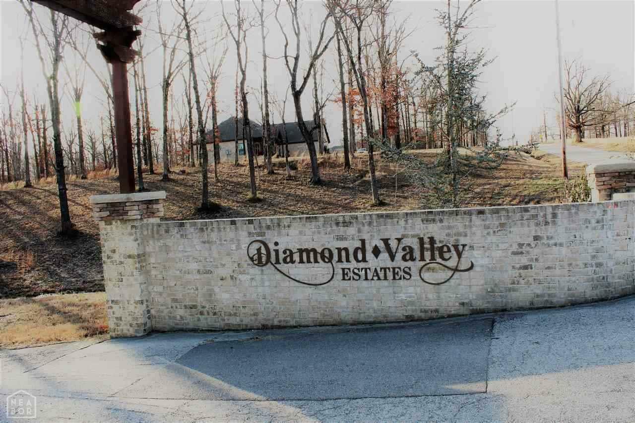 Property Photo:  Lot 11 Phase 1 Diamond Valley Estates  AR 72404 