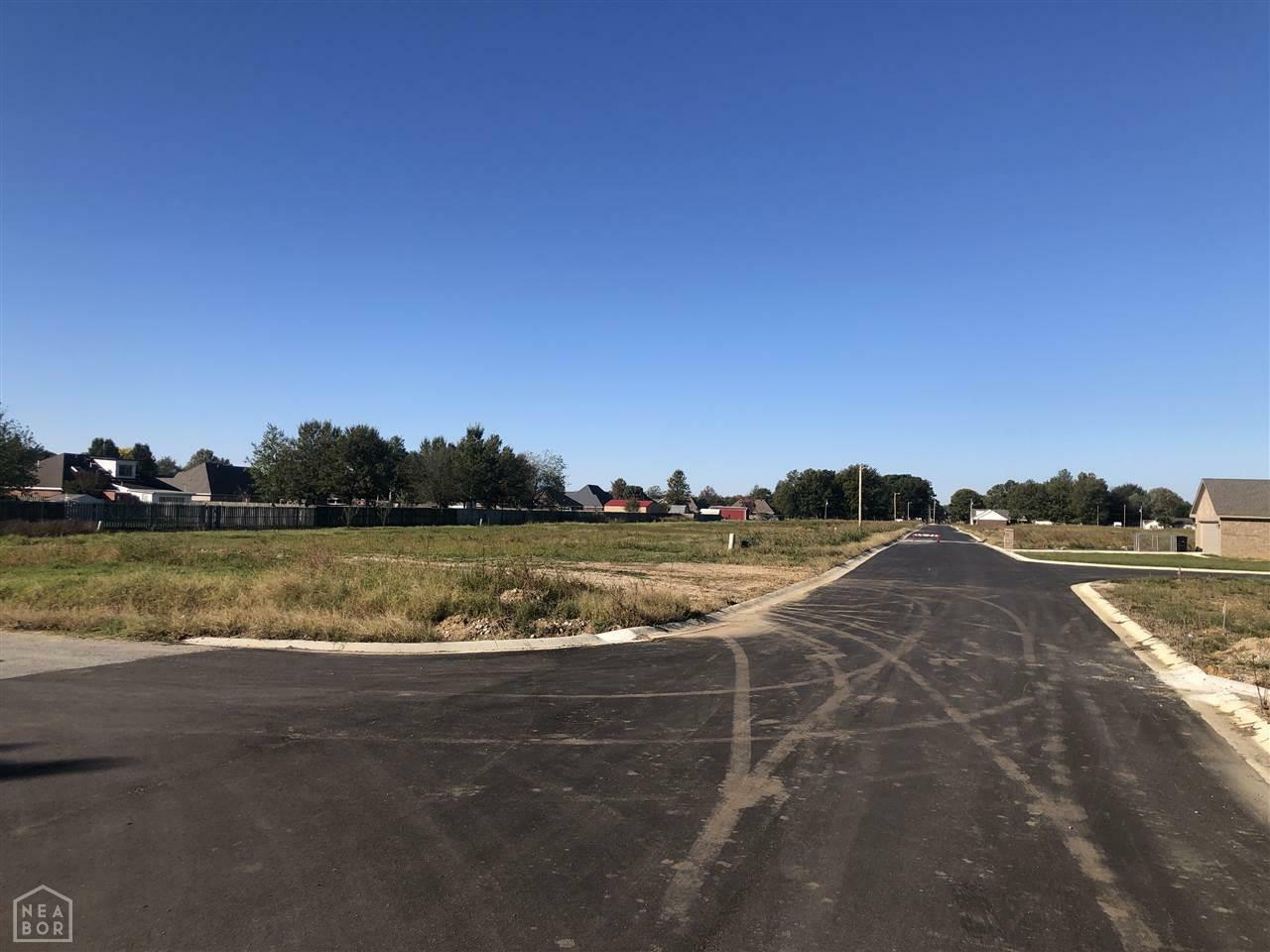 Property Photo:  Lot 15 Stella  AR 72472 