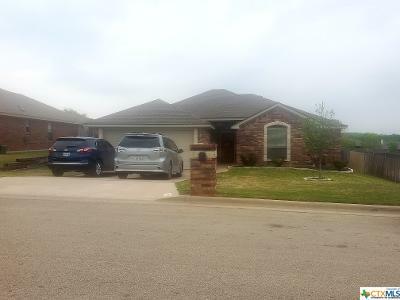 Property Photo:  5110 Foxhill Road  TX 76502 