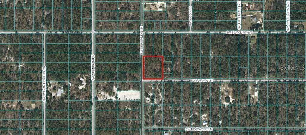 Property Photo:  00 SW Papaya Lane  FL 34431 