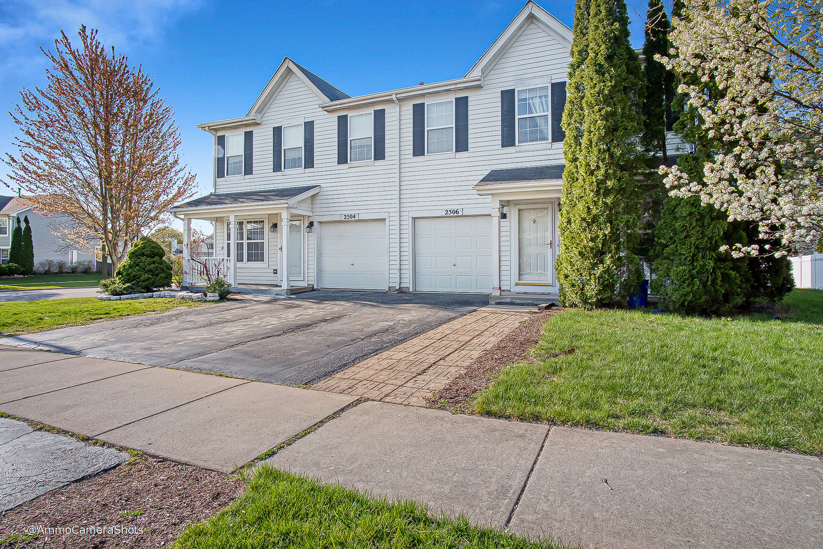 Property Photo:  2504 Eldorado Lane  IL 60564 