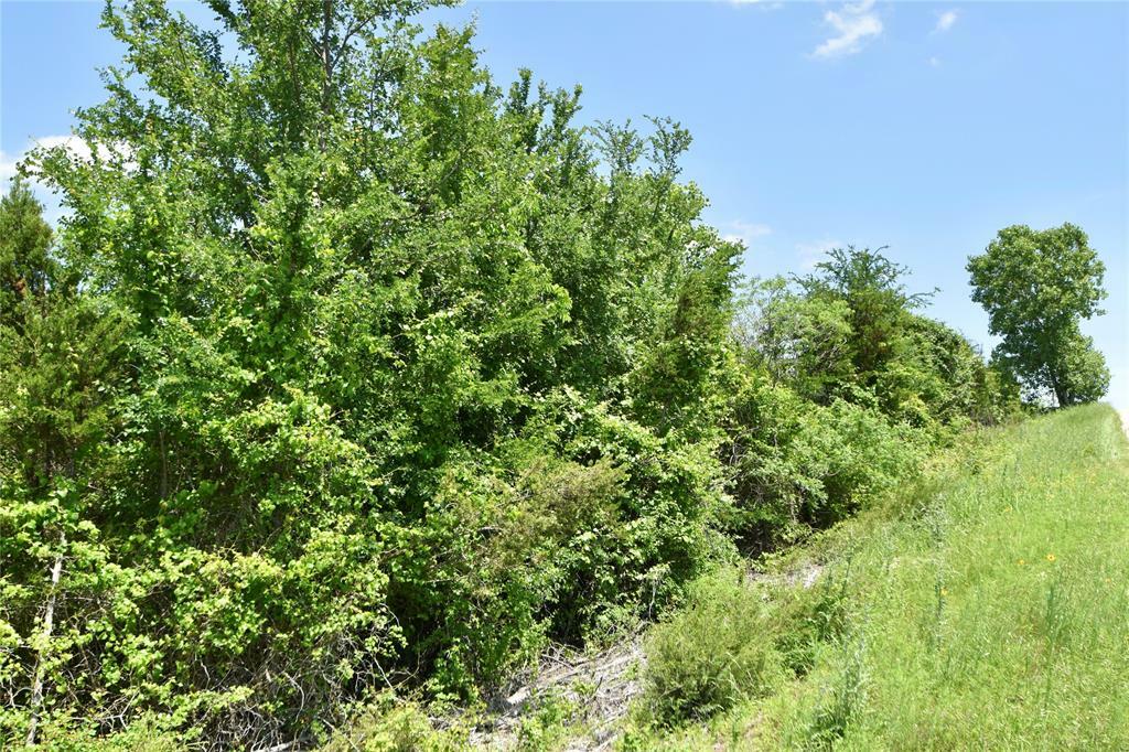 Property Photo:  4175 Skyline Drive  TX 76433 