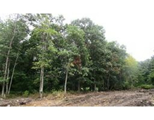 Property Photo: 1 Diamond Estates MA 02067