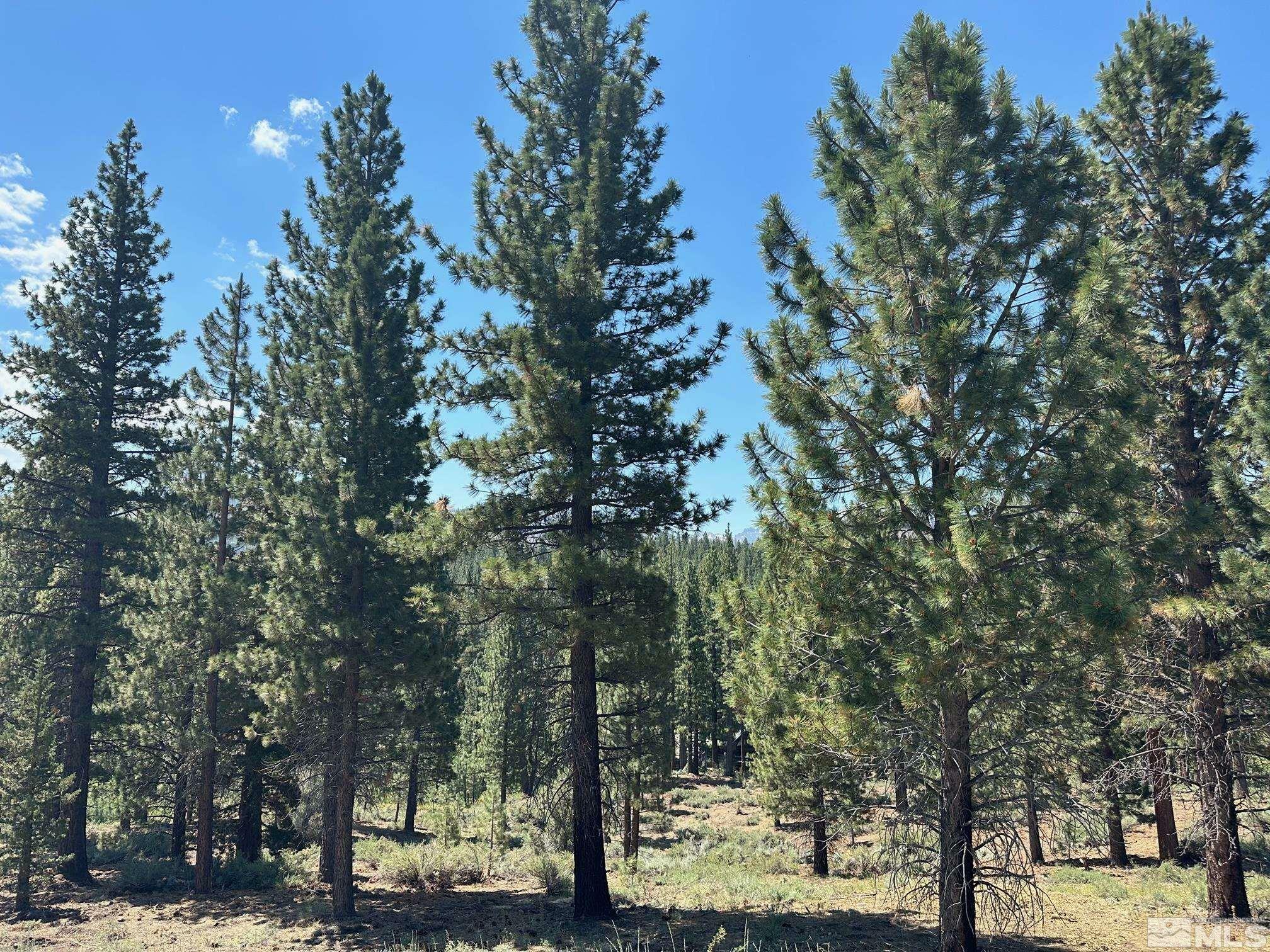 Property Photo: Lot 2 Raymond View 2 CA 96120