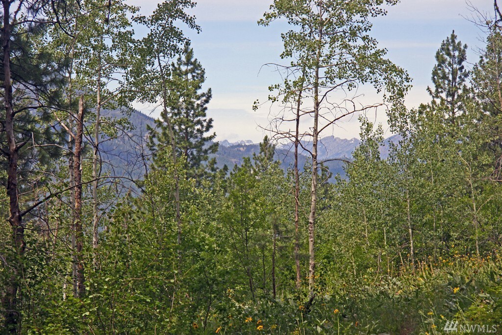 Property Photo:  Lot 312 Trillium Rd  WA 98862 