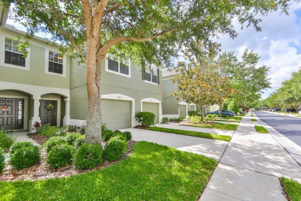 Property Photo:  4834 Barnstead Drive  FL 33578 