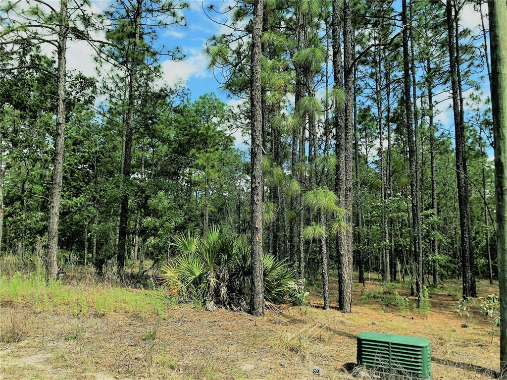 Property Photo:  9529 N Travis Dr  FL 34434 