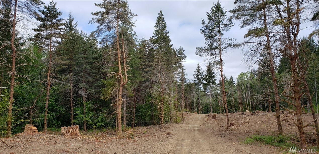 Property Photo:  34 X Hurd (West Lot) Rd  WA 98588 