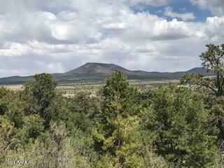 Property Photo:  6574 N Mantenga La Fe - Eastern 12 Ac  AZ 86046 