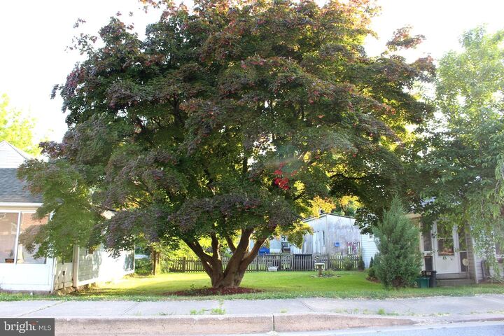 709 High Street  Chestertown MD 21620 photo