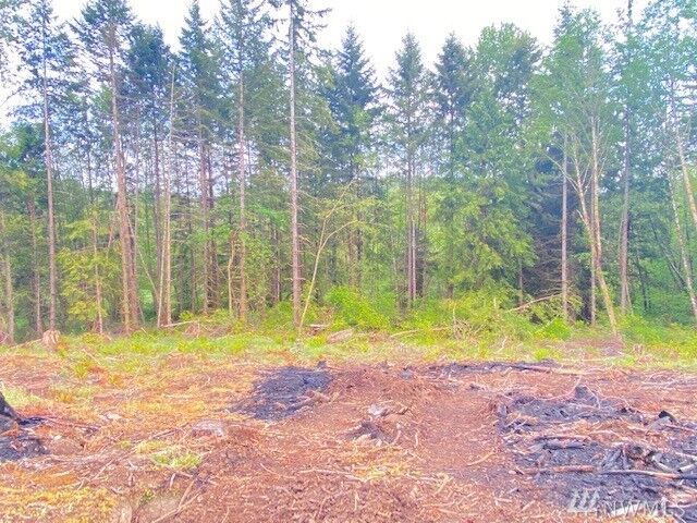Property Photo: Lot 2 Ramsaur Rd WA 98531