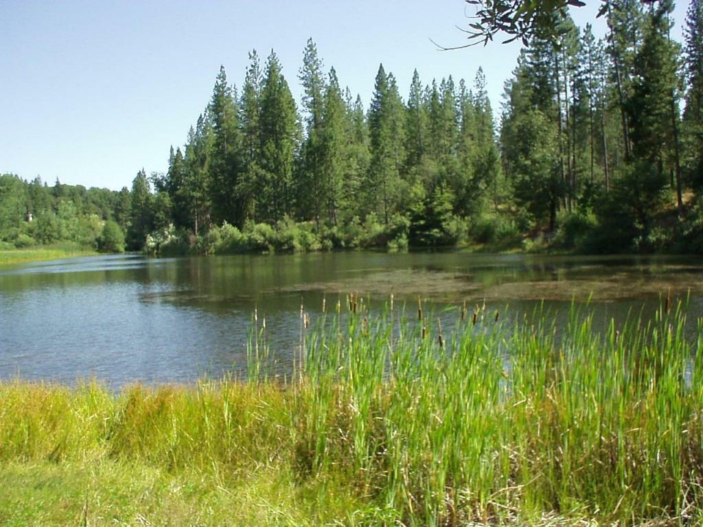 Property Photo:  12695 Lost Lake Road  CA 95945 