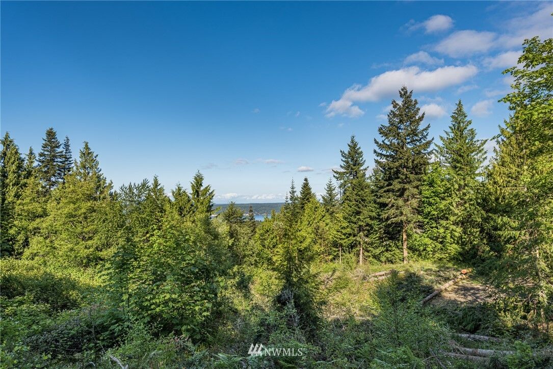Property Photo: 9999 Lot 11 High View Lot Way WA 98382