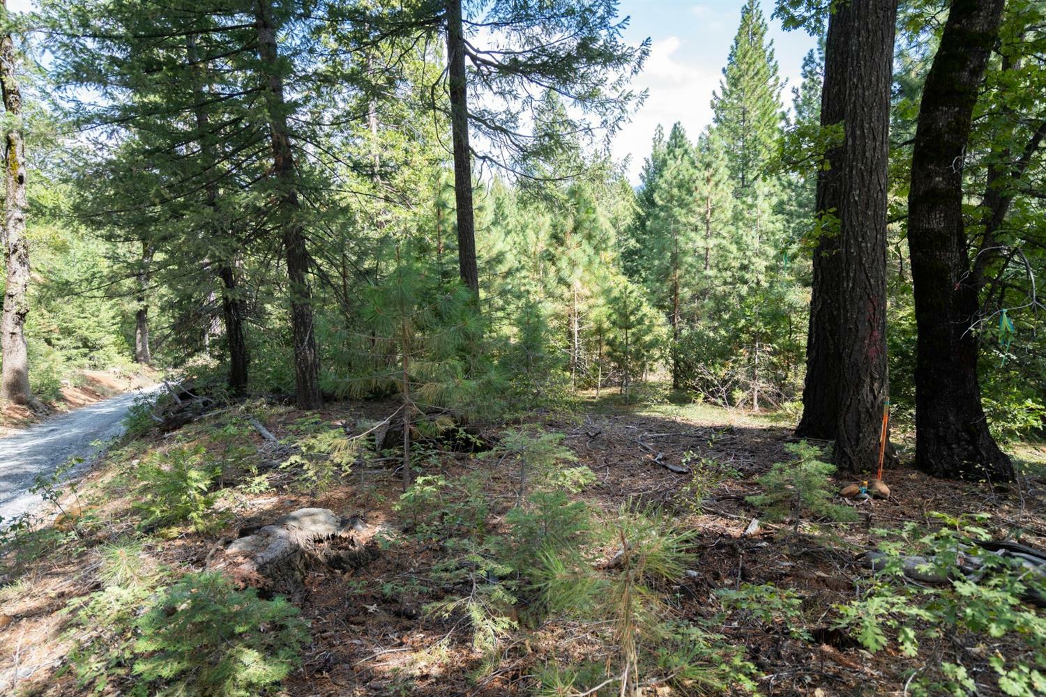 Property Photo:  11023 Lowell Hill Road  CA 95959 