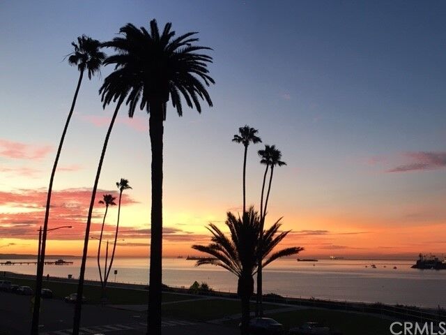 Property Photo:  2601 E Ocean Blvd. 601  CA 90803 