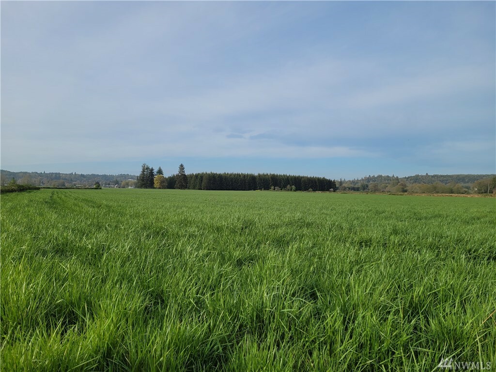 Property Photo:  0 Marion Rd  WA 98541 