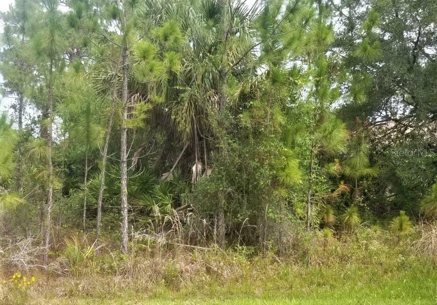 Property Photo:  Lot # 9 Eagle Pass Street  FL 34286 