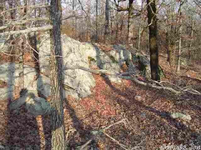 Property Photo: Lot 35 Mystic Lane AR 72032