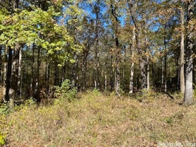 Property Photo: Lot 1541 Stonebriar Drive AR 71913