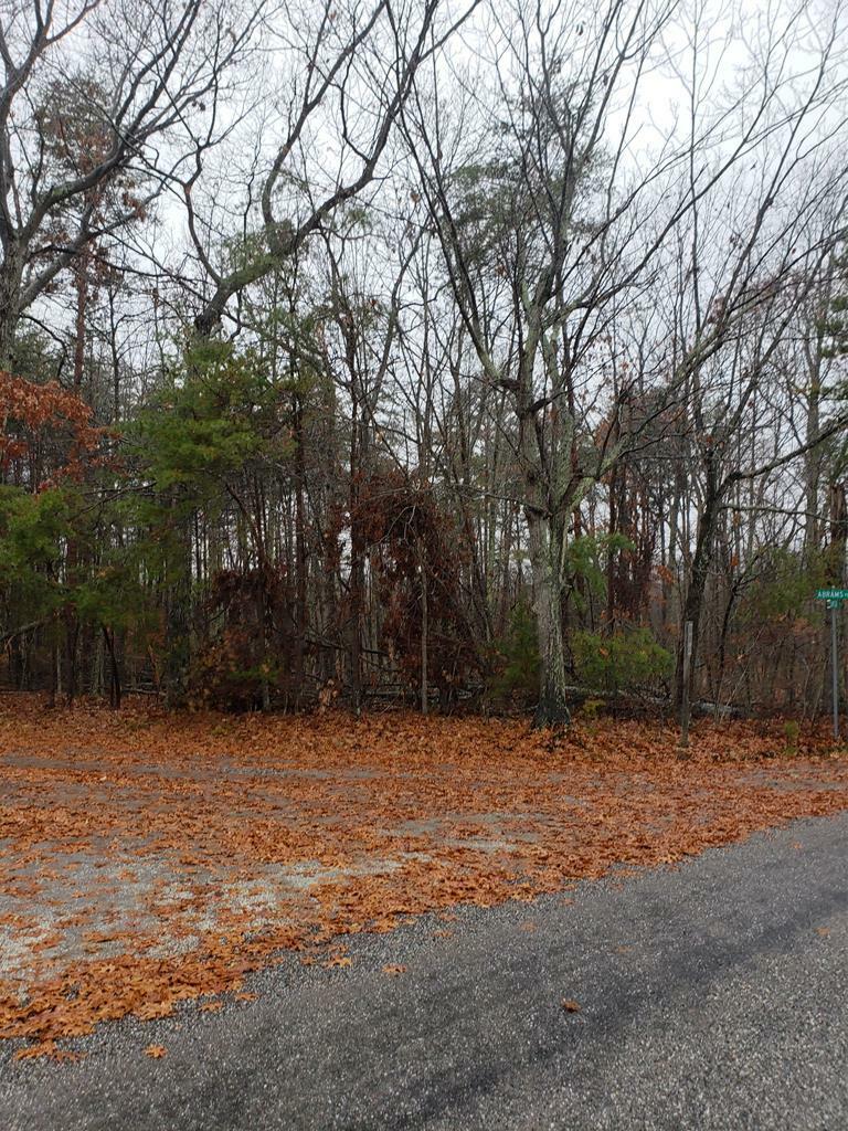 Property Photo:  Abrams Road  VA 23901 