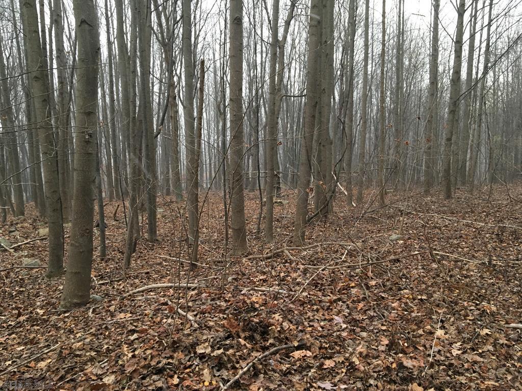 Property Photo: 0 Mount Airy Drive PA 15522
