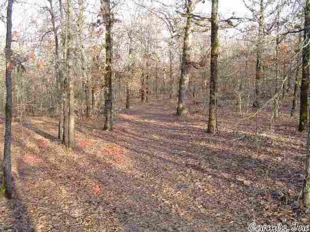 Property Photo: Lot 41 Mystic Lane AR 72032