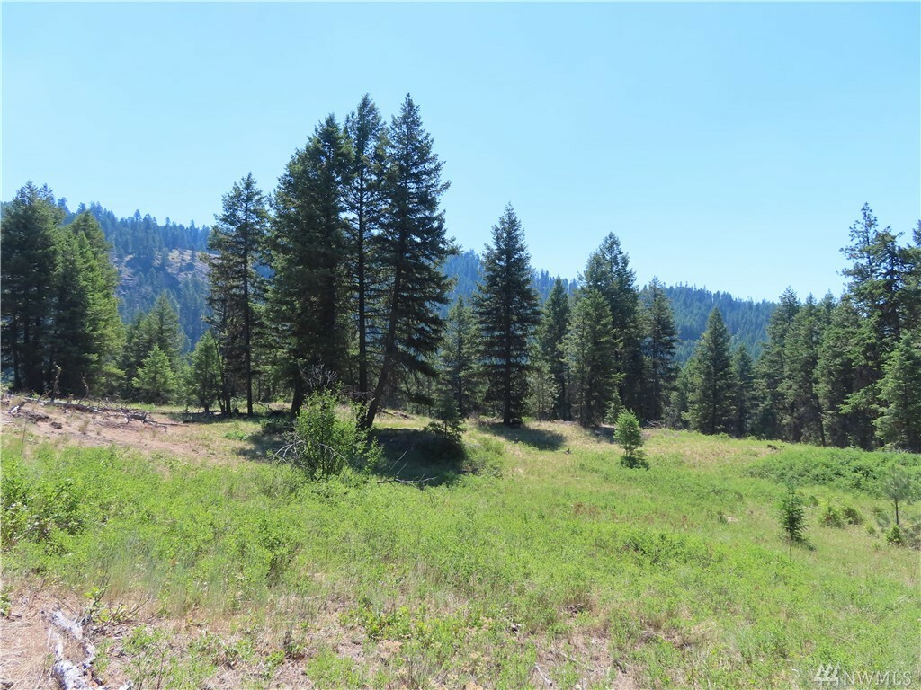 MLS#1800707: Tbd Blissful Trails Lane, Republic, WA 99166