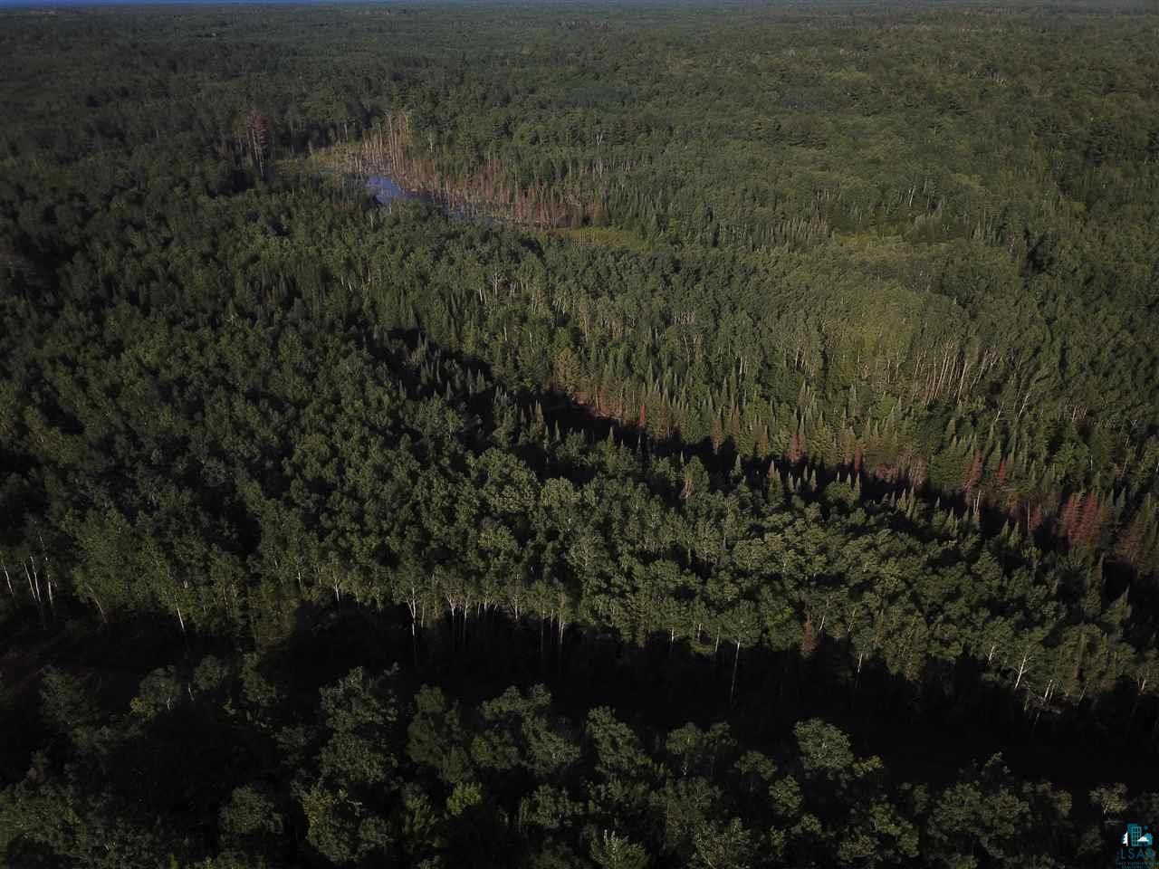 Property Photo: 000 Pine Flats Rd WI 54806