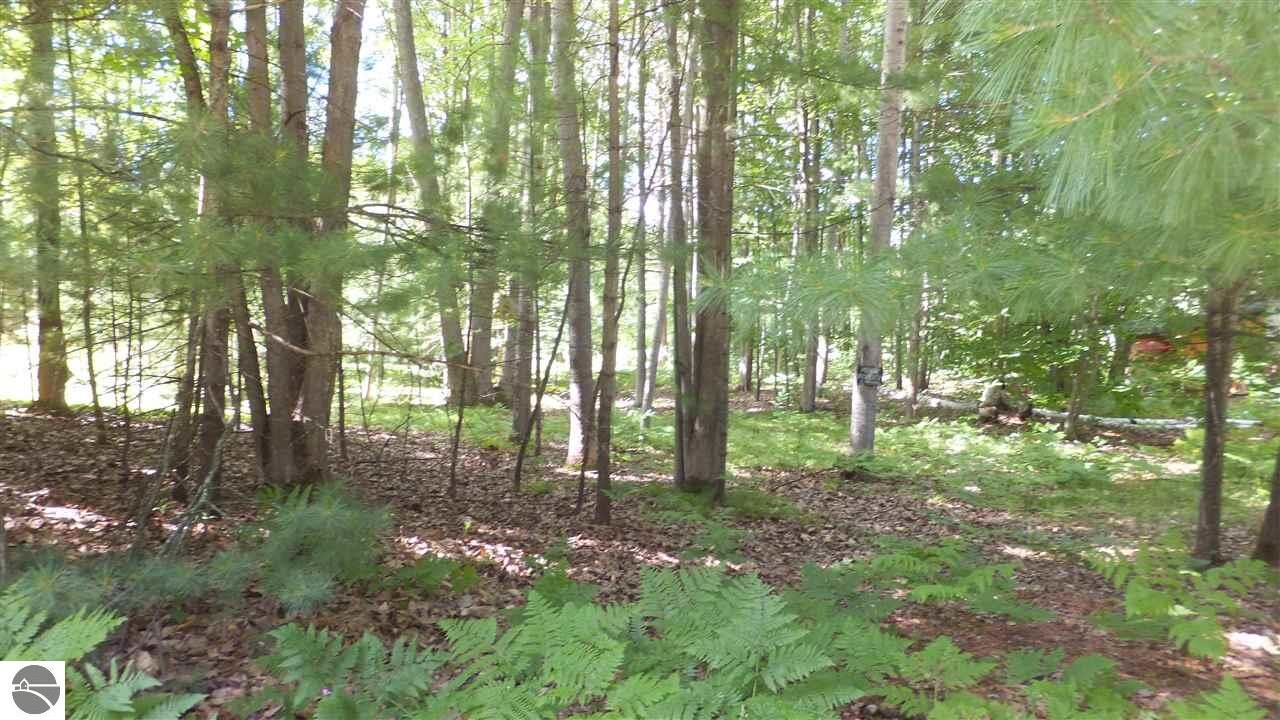 Property Photo: 000 Bass Lake Road MI 49685
