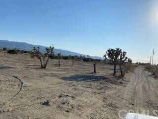 Property Photo:  11077 Beekley Rd Road  CA 92371 