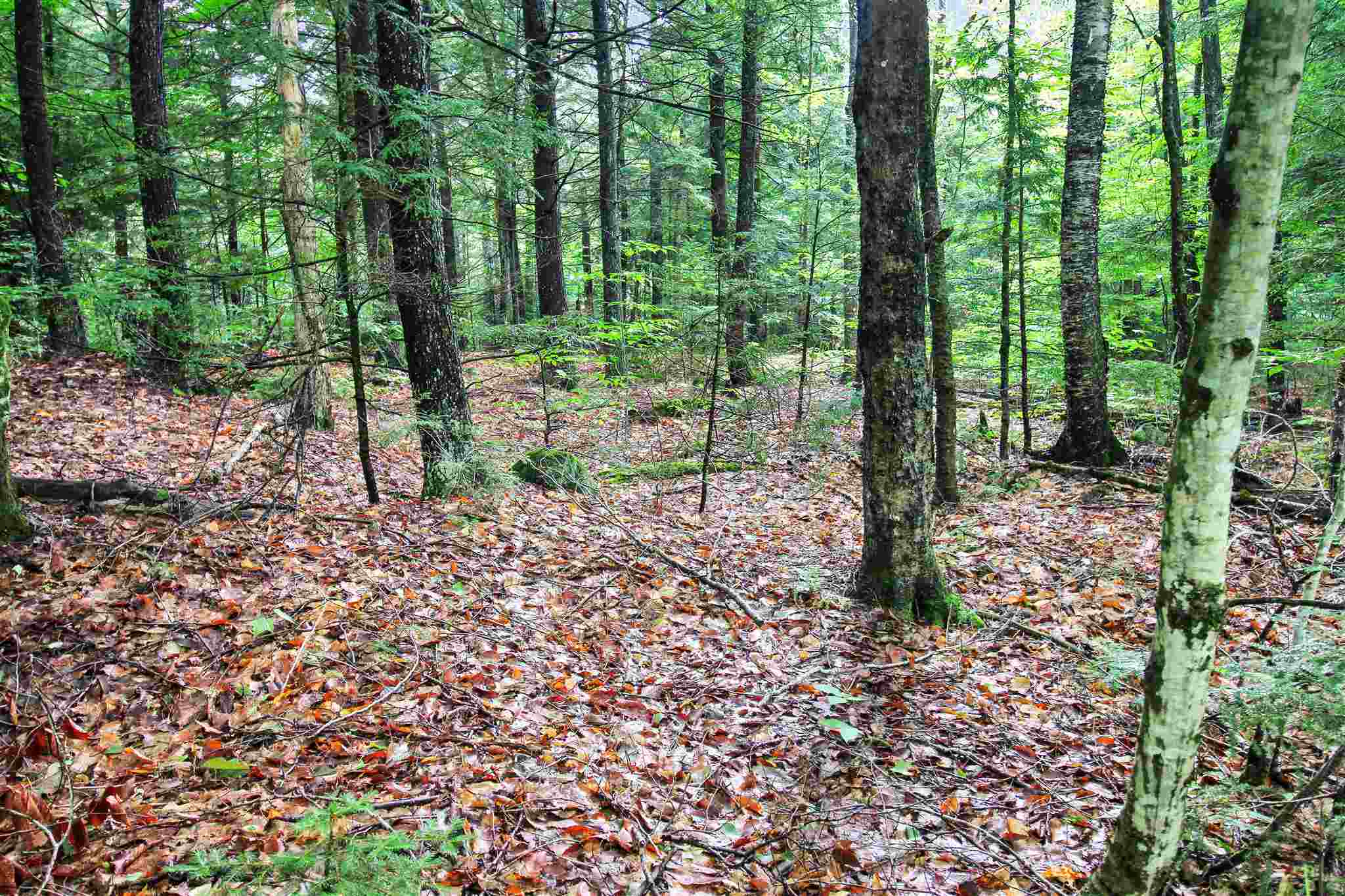 Property Photo:  00 Puckerbrush Road 5  NH 03223 