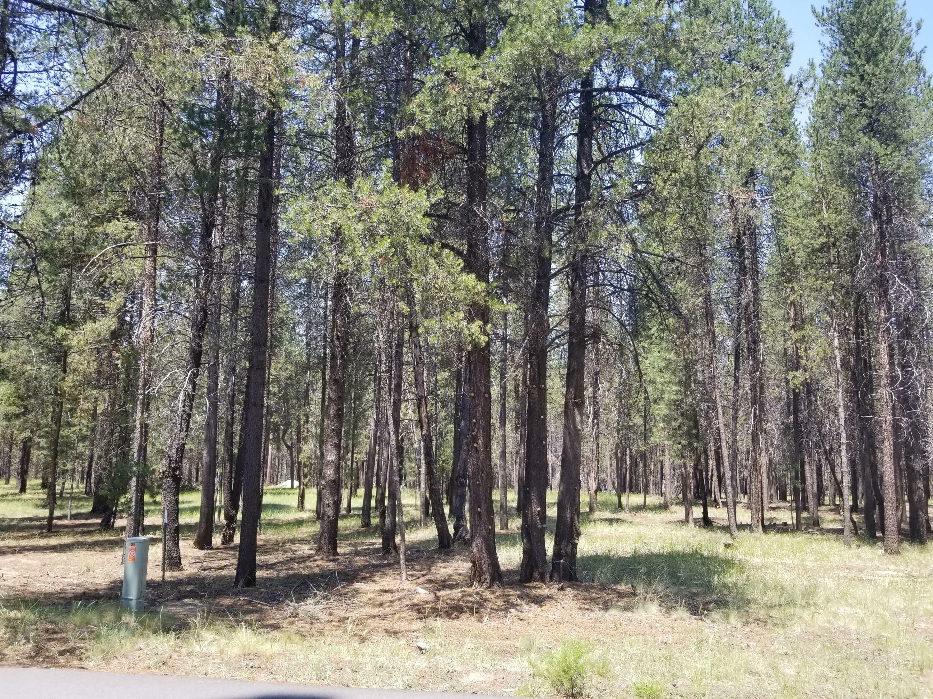 Property Photo: 7300 Lot Wagon Trail Road OR 97739