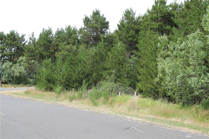 2 Driftwood Lane  Westport WA 98595 photo