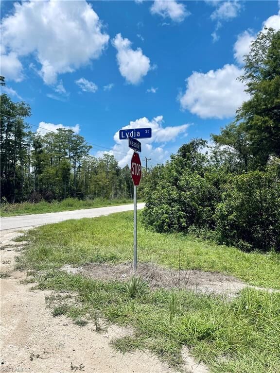 Property Photo:  652 Lydia Street  FL 33974 