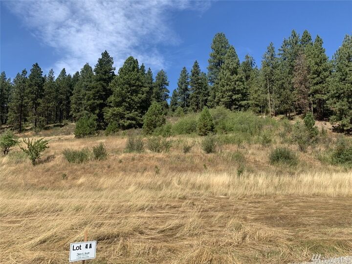 Property Photo: 0 Lot 4-A Ranch Rd WA 98922