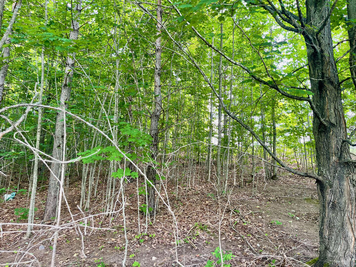 Property Photo:  805 Guenther Ridge  MI 49735 