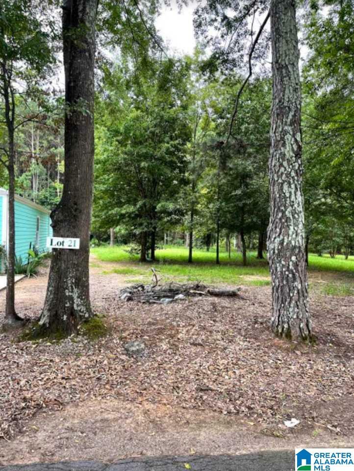 Lot 21 Blue Eye Road 21  Talladega AL 35096 photo