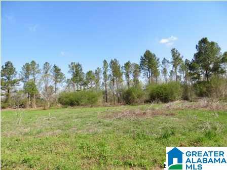 Property Photo:  0 Colvin Road 75 Ac  AL 35096 