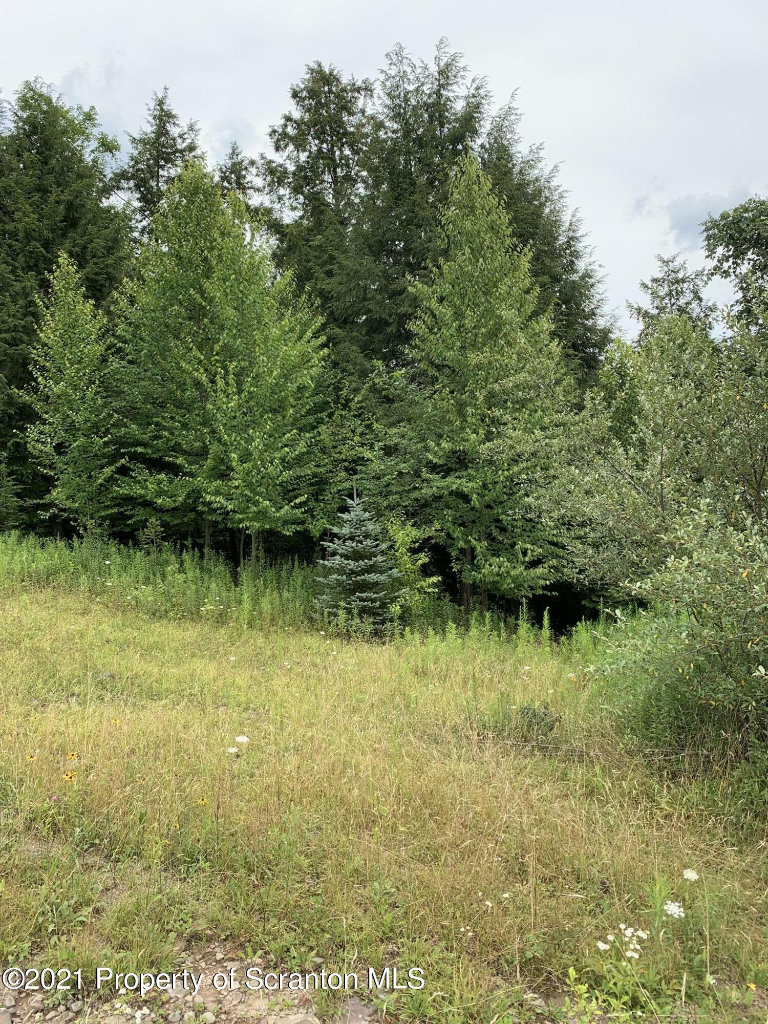 Property Photo:  0 Steam Hollow Road  PA 18822 