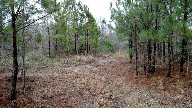 00 Waring Road  Dalton GA 30721 photo