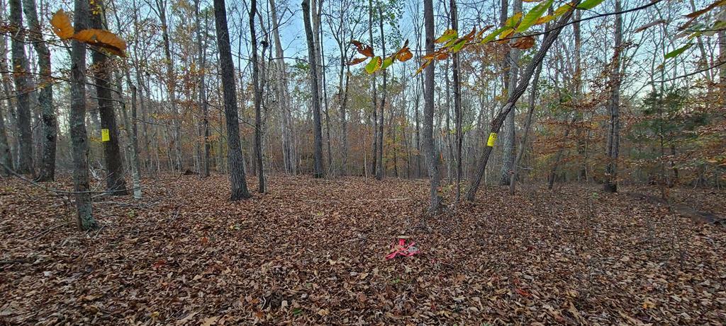 Property Photo:  Lot 306 Quarles Road  GA 30740 